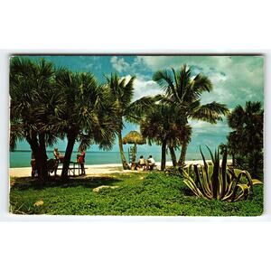 Vintage Florida Lowdermilk Park Beach Postcard by Colourpicture 1971